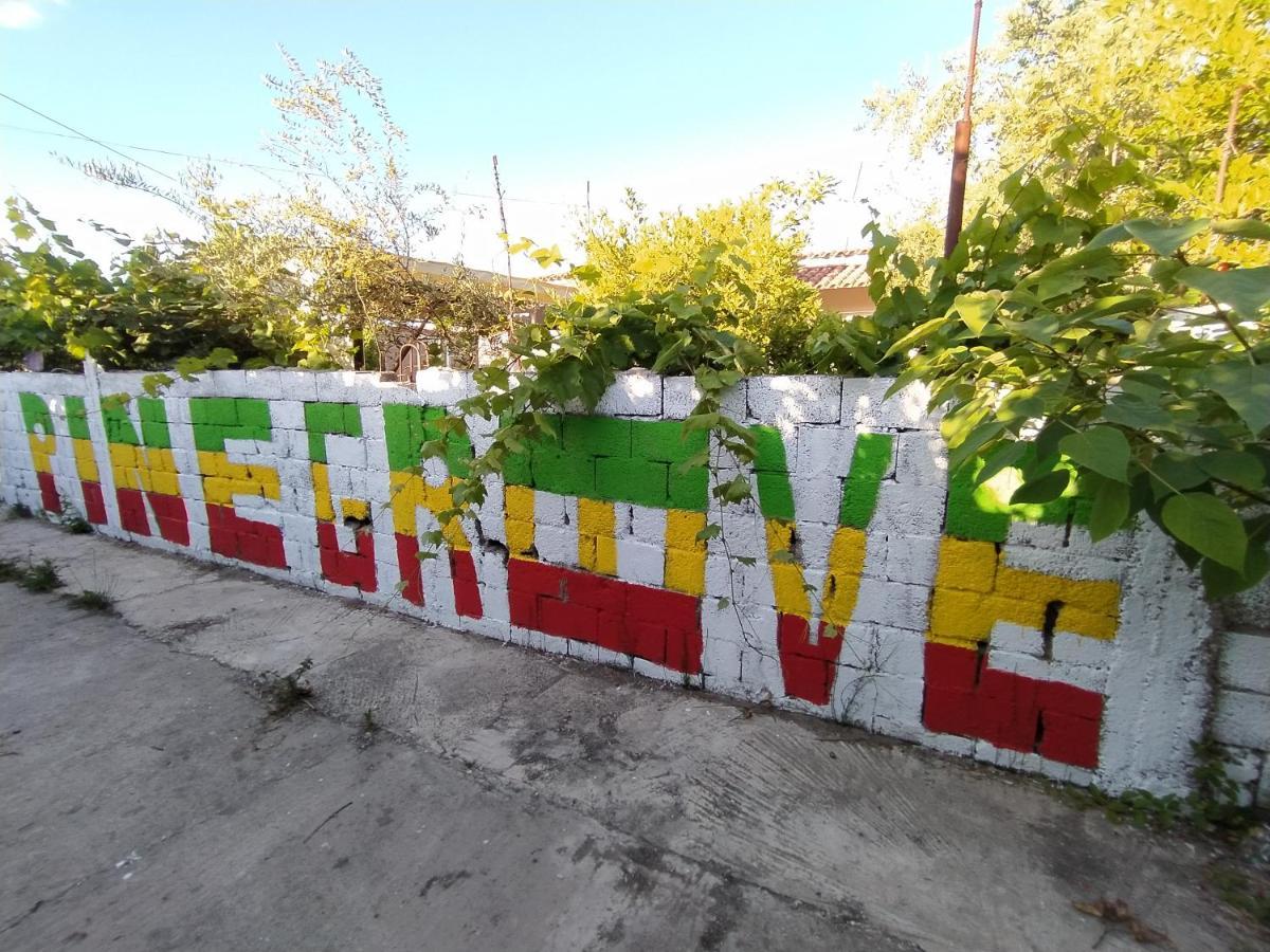 Pinegroove Hostel Vlora Zewnętrze zdjęcie