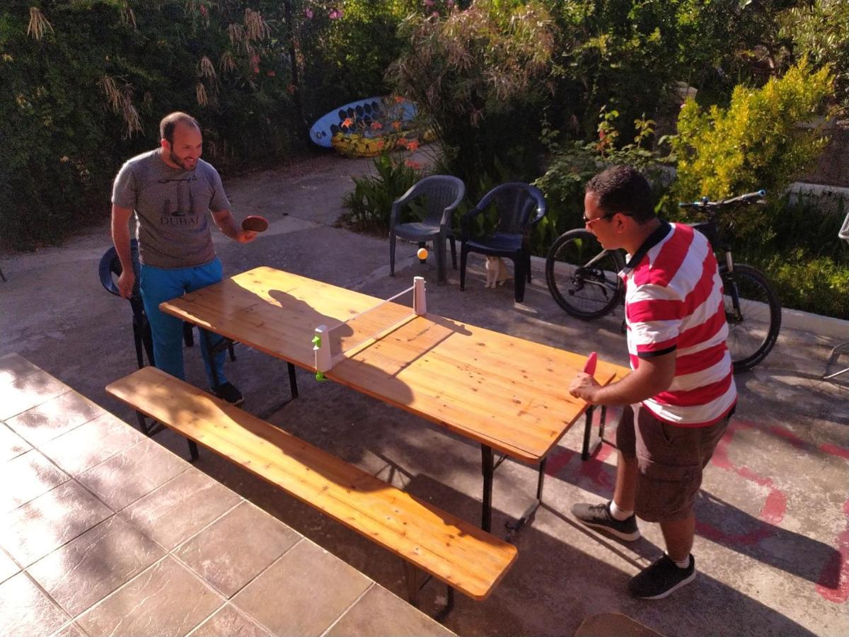 Pinegroove Hostel Vlora Zewnętrze zdjęcie