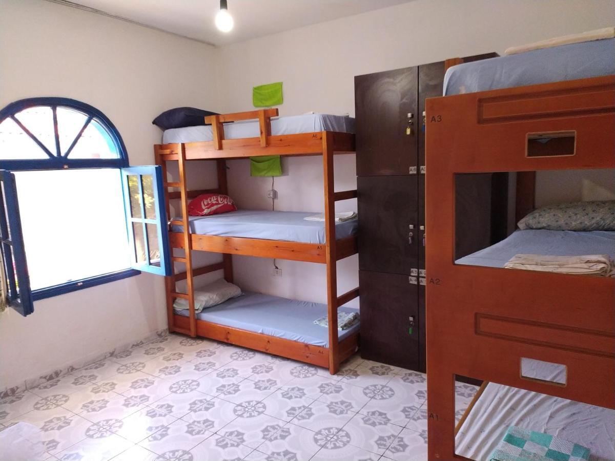 Pinegroove Hostel Vlora Zewnętrze zdjęcie