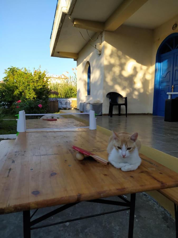Pinegroove Hostel Vlora Zewnętrze zdjęcie