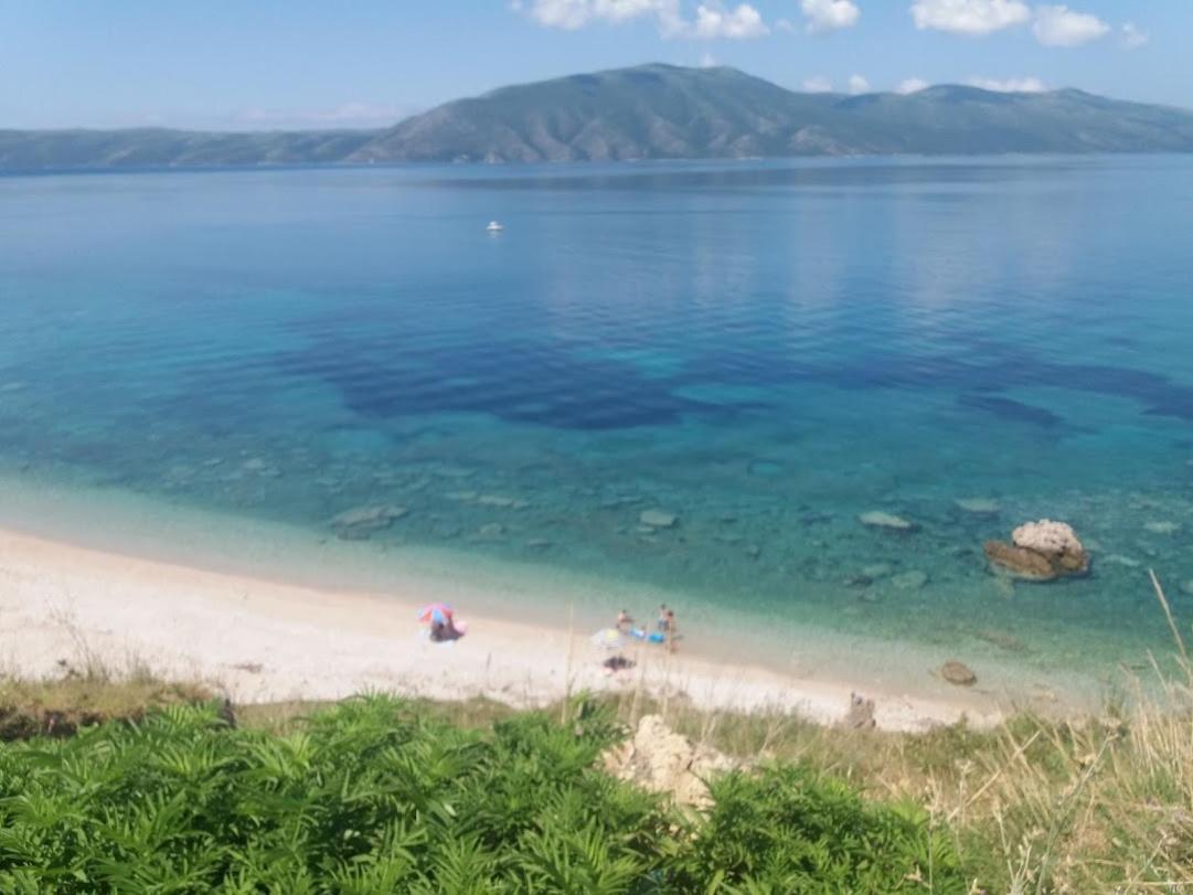 Pinegroove Hostel Vlora Zewnętrze zdjęcie