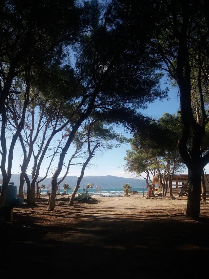 Pinegroove Hostel Vlora Zewnętrze zdjęcie