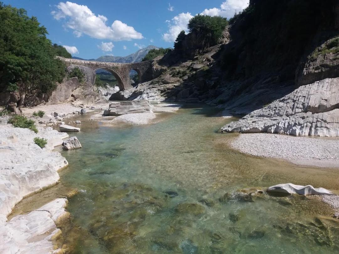 Pinegroove Hostel Vlora Zewnętrze zdjęcie