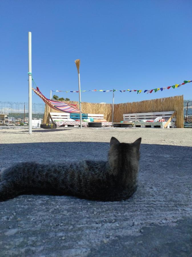 Pinegroove Hostel Vlora Zewnętrze zdjęcie