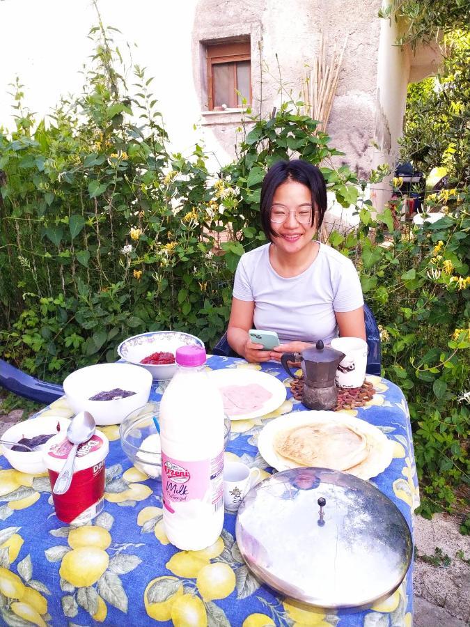 Pinegroove Hostel Vlora Zewnętrze zdjęcie
