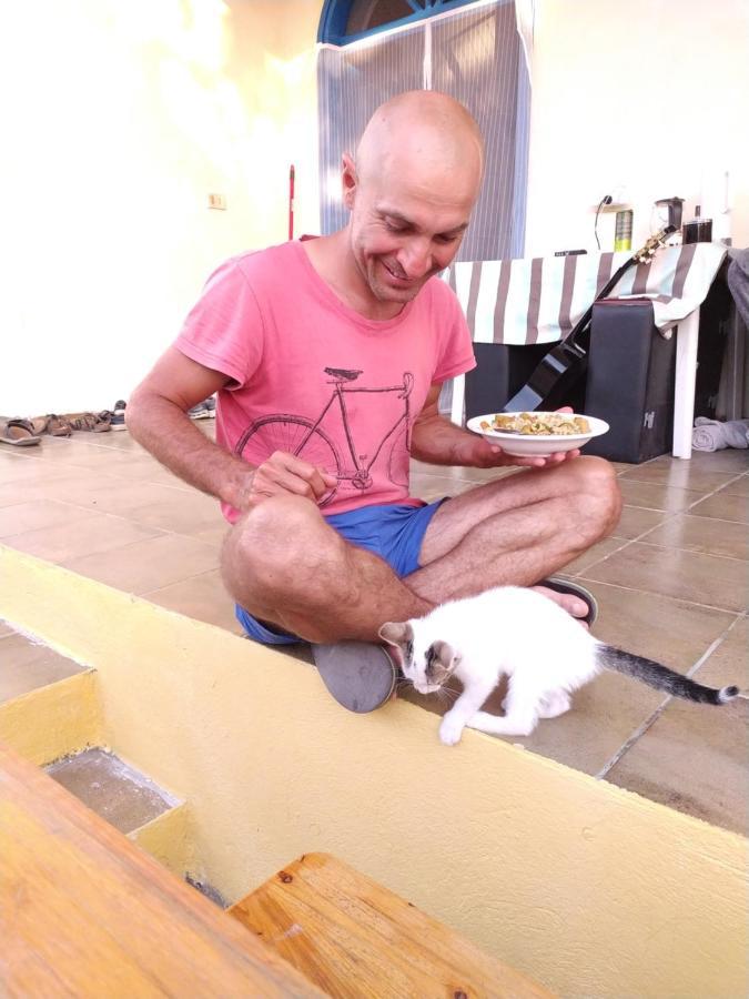 Pinegroove Hostel Vlora Zewnętrze zdjęcie